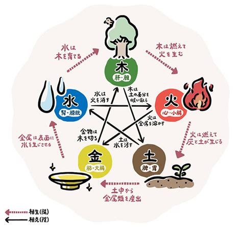 五行 土 性質|五行の土の性質を読み解く！キーワードは中心・養育。